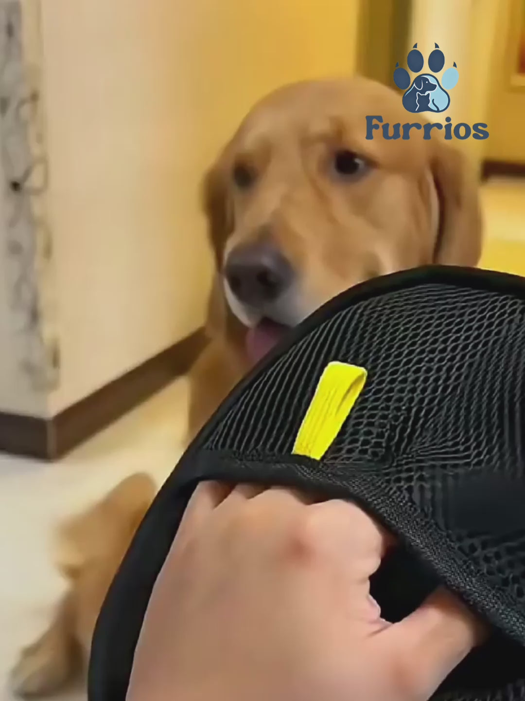 Load video: Furrios Pet Hair Remover Glove
